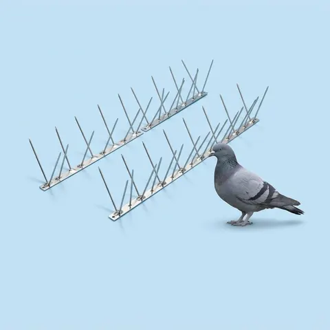 Pigeon Control