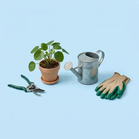 Gardening